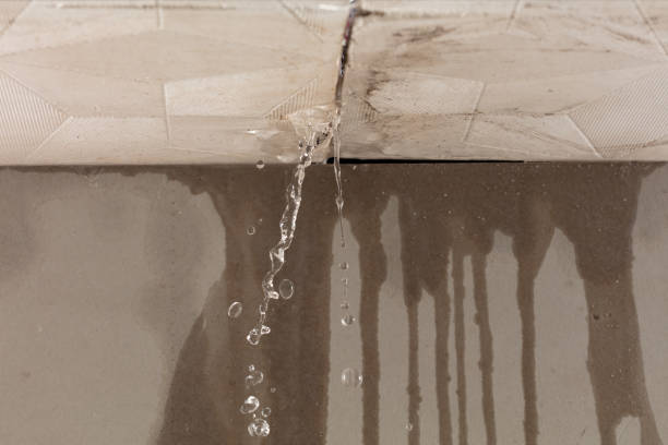 Professional Commercial Water Damage Restoration technician working in Richwood, WV